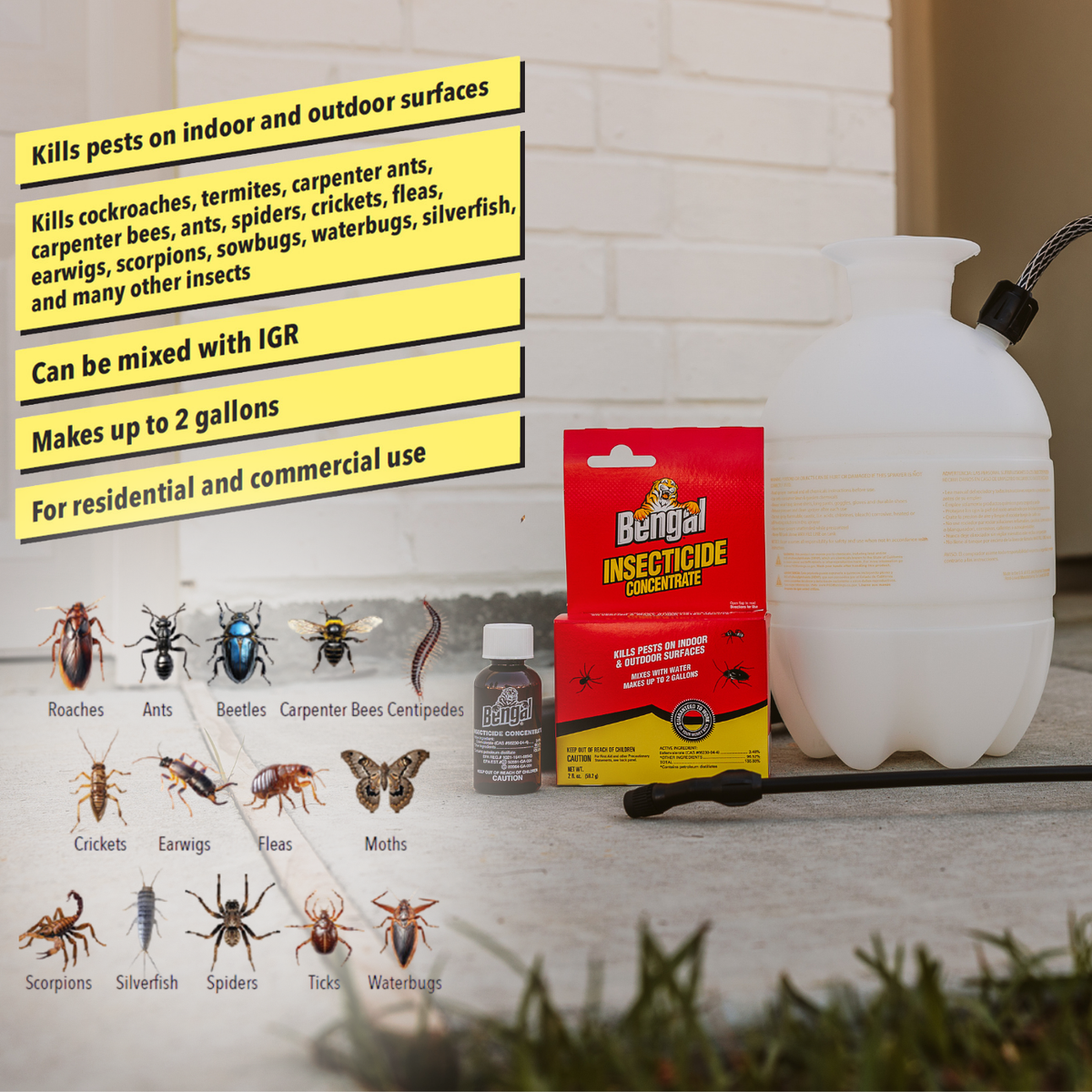 Bengal Insecticide Concentrate | Effective Insecticide for Indoor 