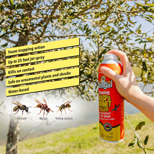 Foaming Wasp & Hornet Killer