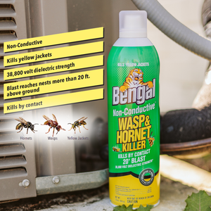 Non-Conductive Wasp & Hornet Killer